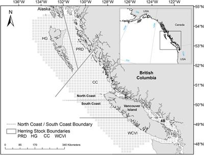 The Cumulative Effects of Fishing, Plankton Productivity, and Marine Mammal Consumption in a Marine Ecosystem